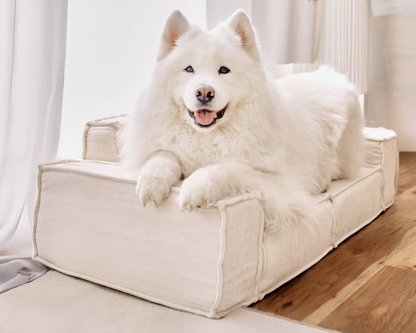 Atelier NUBO – M1 Sofa Animaux