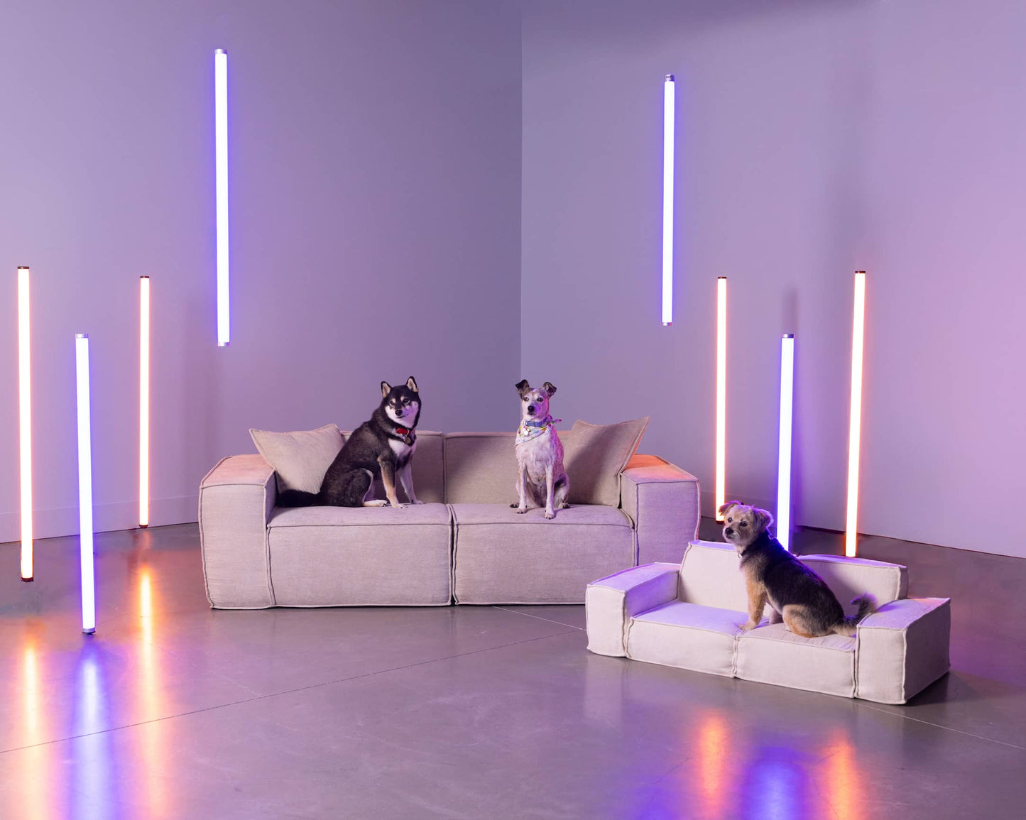 Atelier NUBO – M1 Sofa Animaux