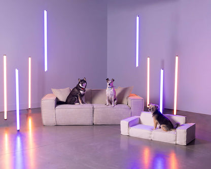 Atelier NUBO – M1 Sofa Animaux